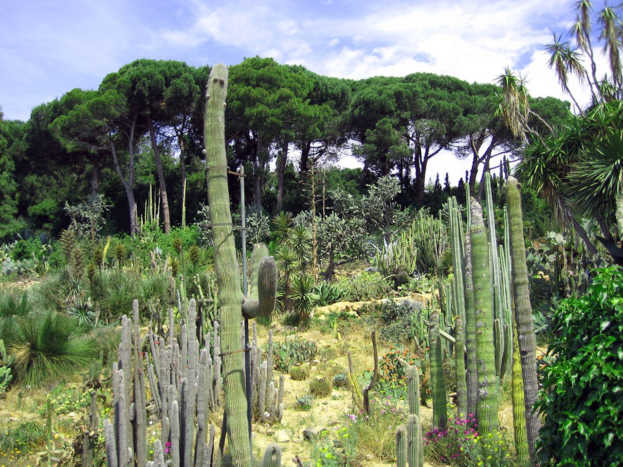 WEB GIARDINI TRA TERRA E MARE (3)