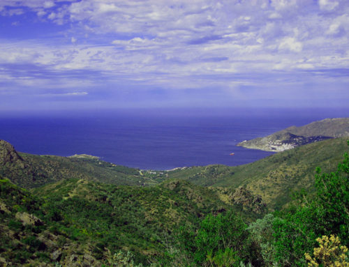 GIARDINI TRA TERRA E MARE