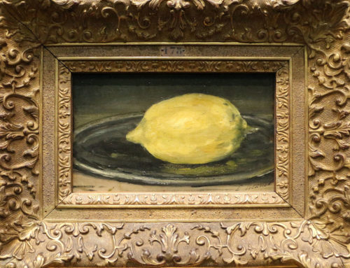 IL LIMONE SOLITARIO