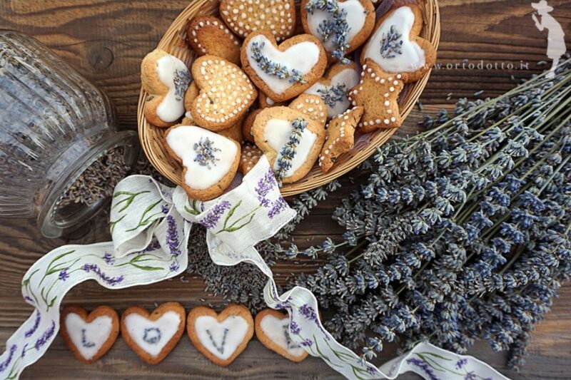 biscotti-alla-lavanda