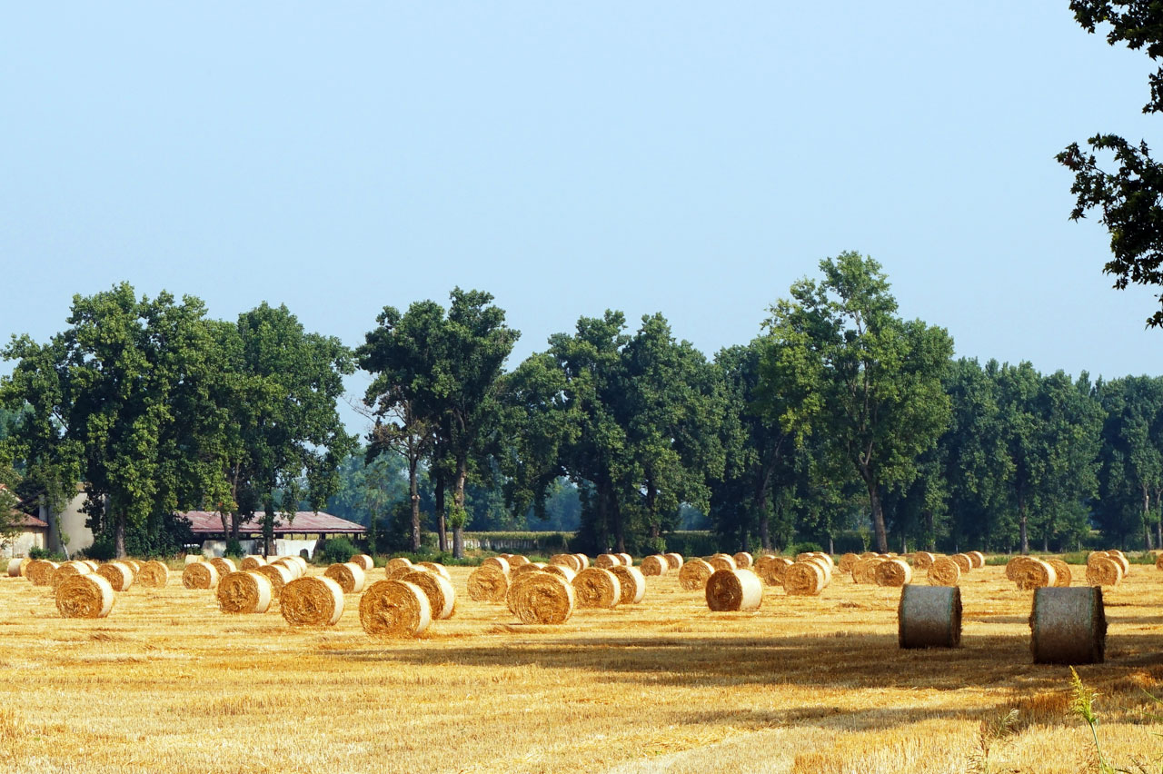 WEB-SCORCI-DI-PIANURA-PADANA-(3)