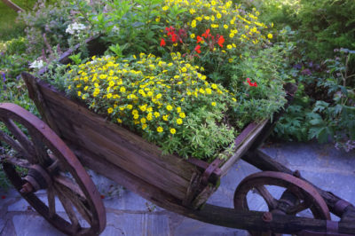 CARRETTO-FIORI
