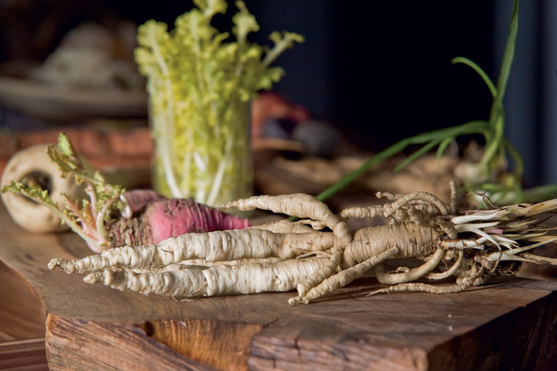 TUBERI