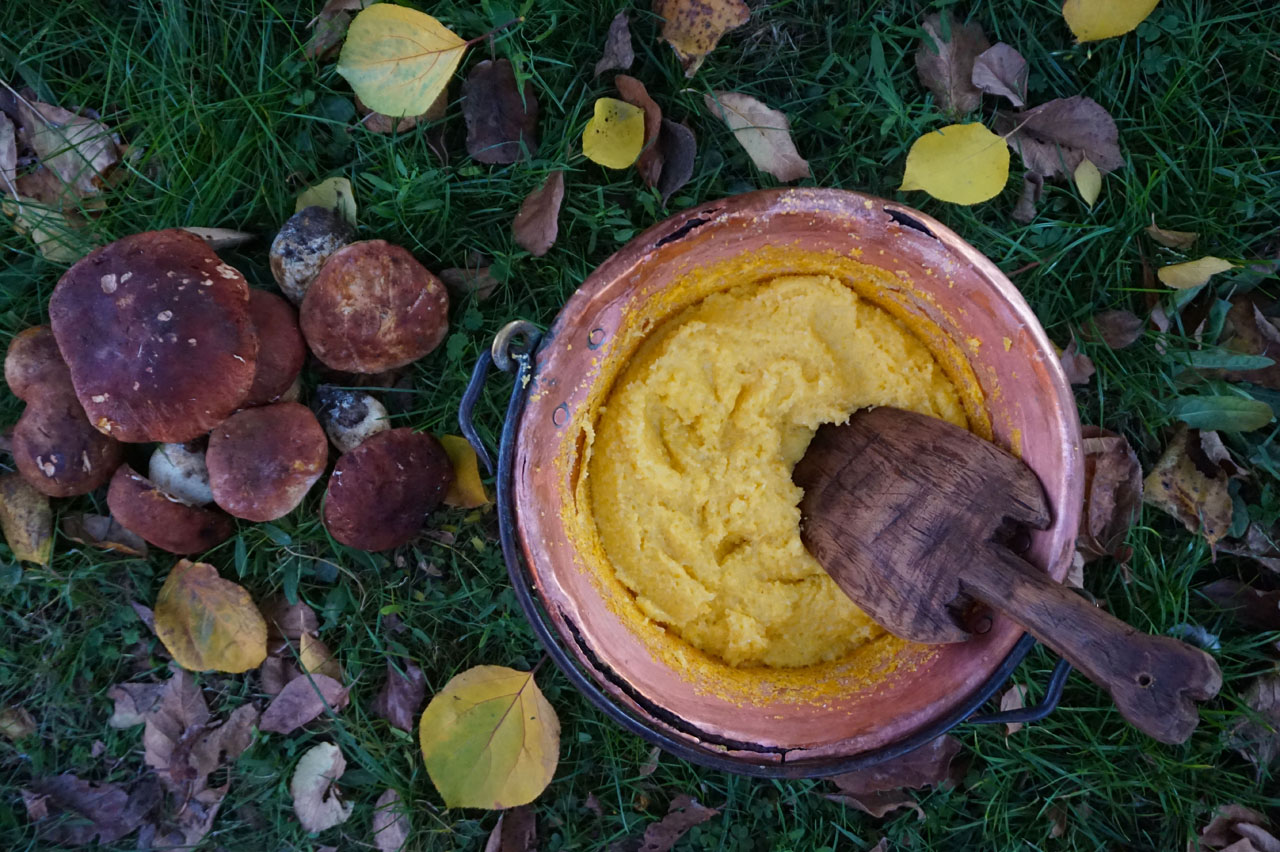 polenta e porcini