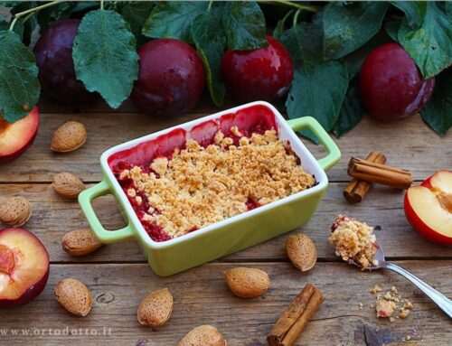 CRUMBLE DI PRUGNE
