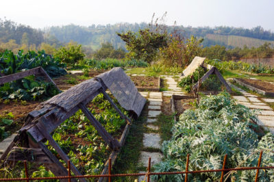 L'ORTO NEL PIACENTINO