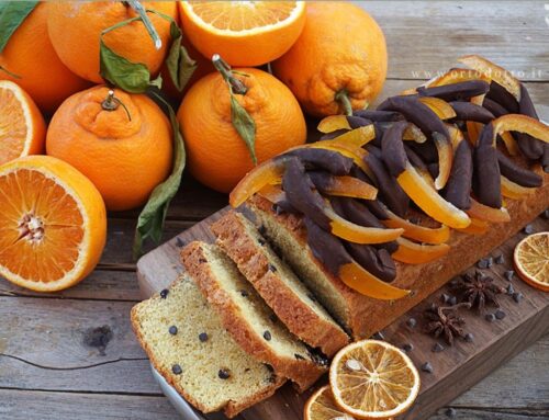 PLUMCAKE ALL’ARANCIA E GOCCE DI CIOCCOLATO