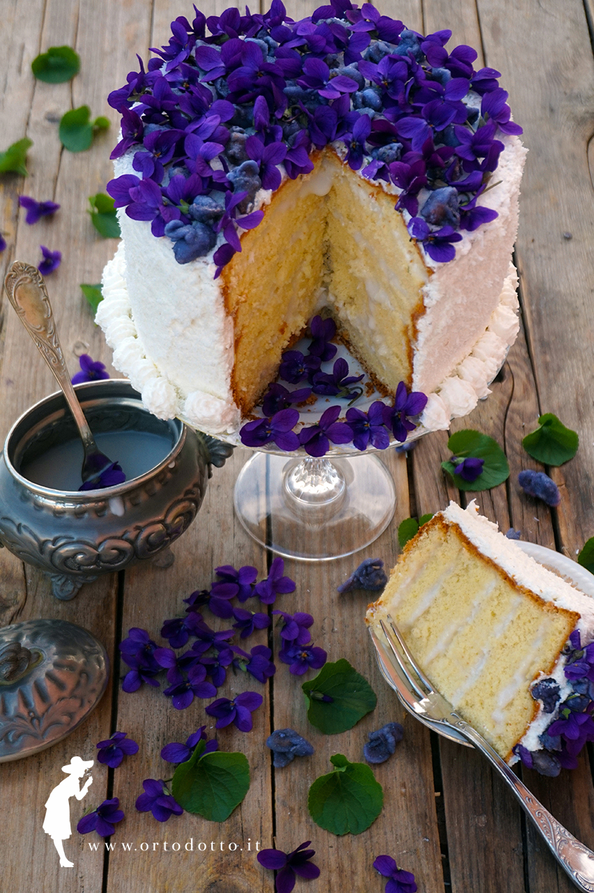 TORTA COCCO E VIOLETTE CRISTALLIZZATE