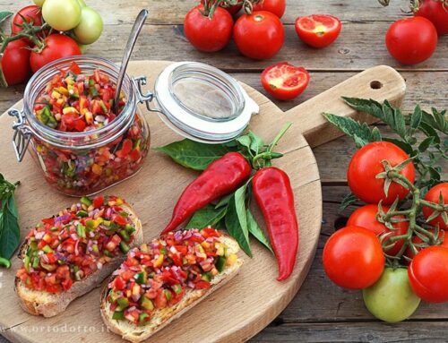 SALSINA DI POMODORO ALLA MESSICANA