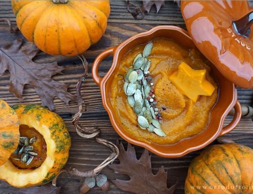 CREMA DI ZUCCA SPEZIATA