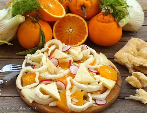 INSALATA DI FINOCCHIO ARANCE E PECORINO