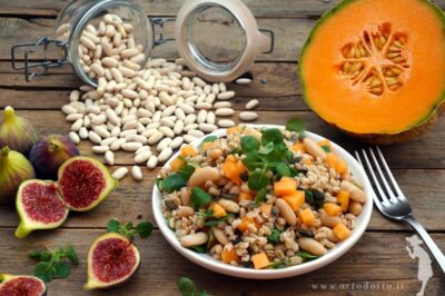 insalata orzo cannellini melone