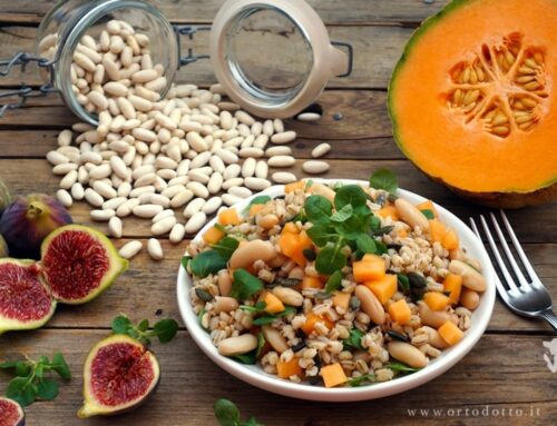 INSALATA D’ORZO CANNELLINI E MELONE